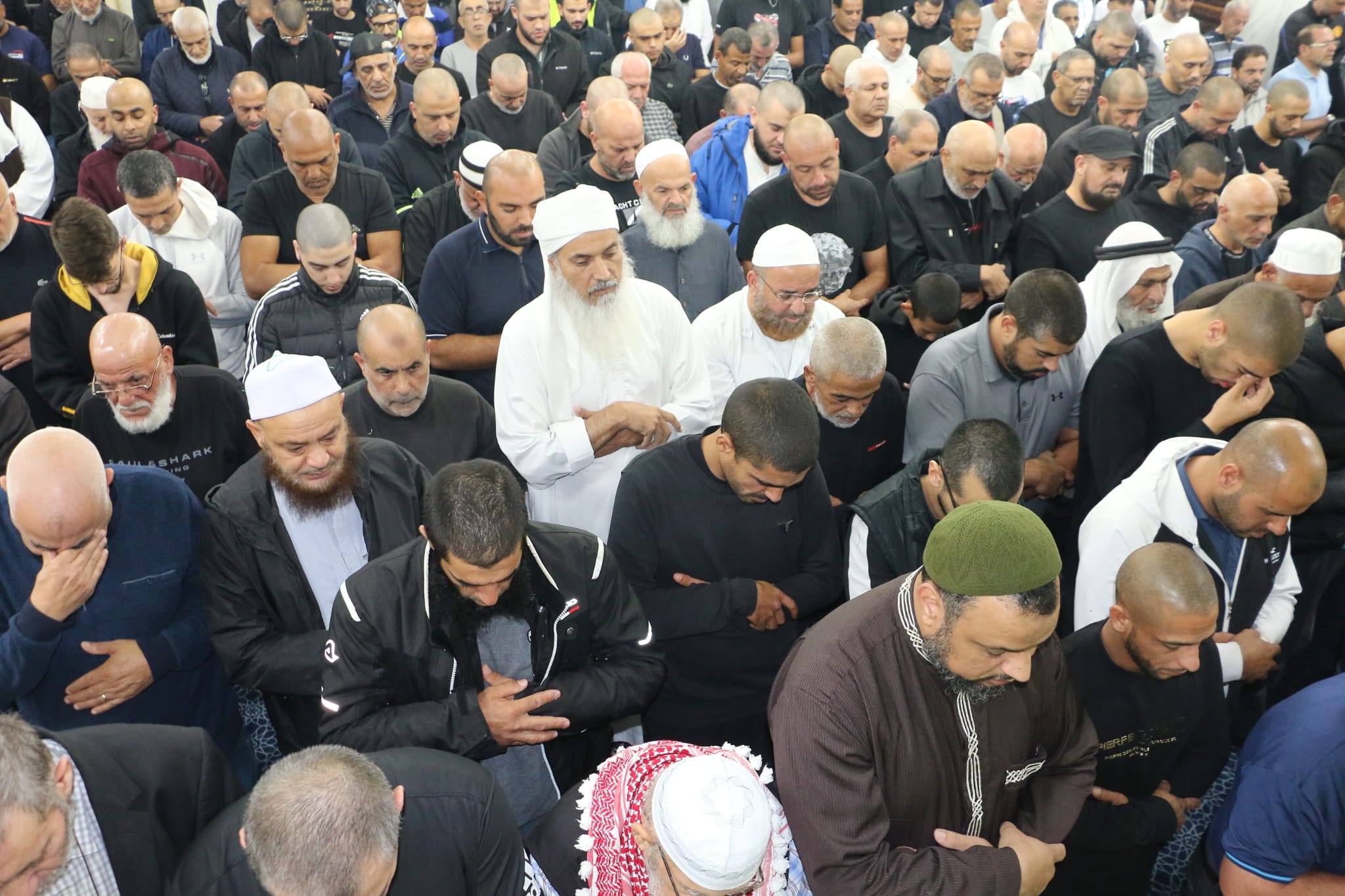 WhatsApp Image 2022-11-17 at 5.22.27 PM (1).jpeg